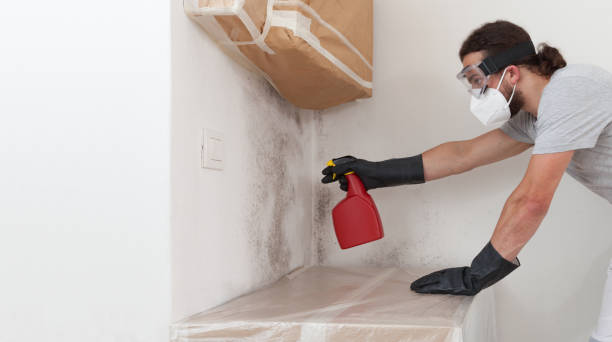 Professional Mold Remediation technician working in Allensville, PA