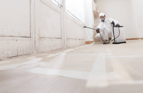 24/7 Emergency Mold Remediation experts in Allensville, PA