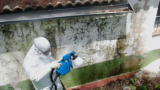 Top rated local Mold Remediation specialists in Allensville, PA